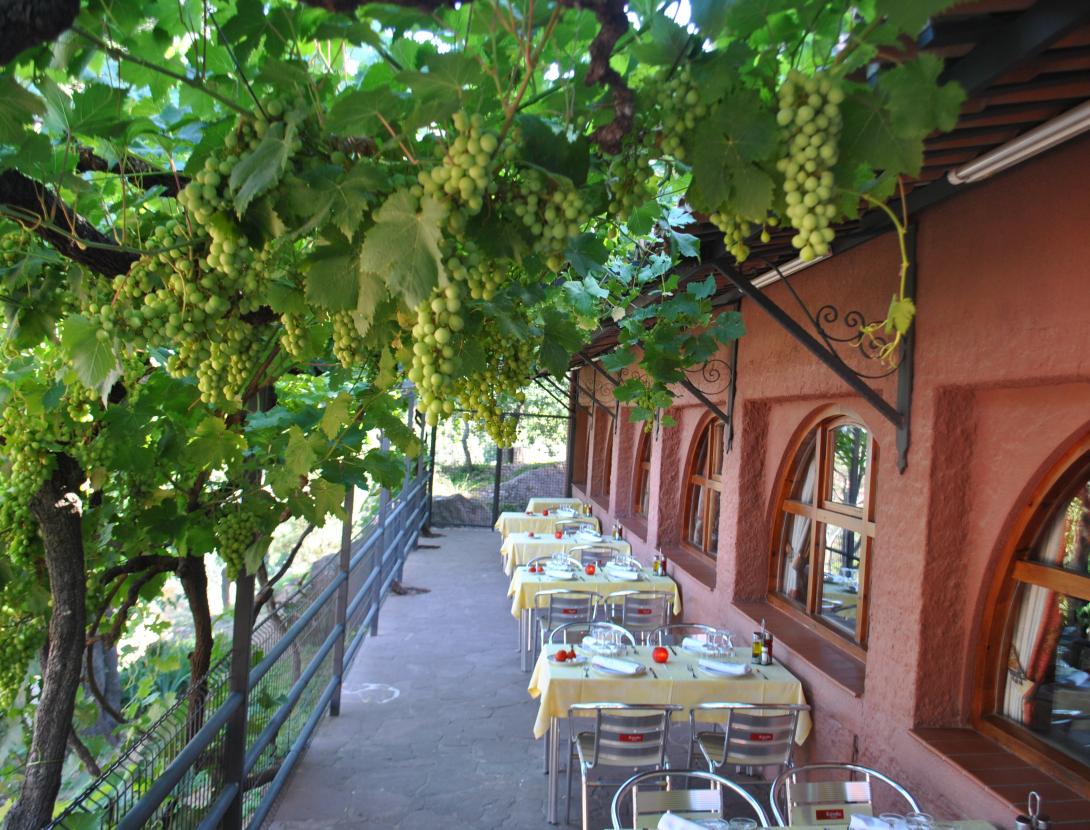 Ermita de Brugués Les Vinyes.JPG