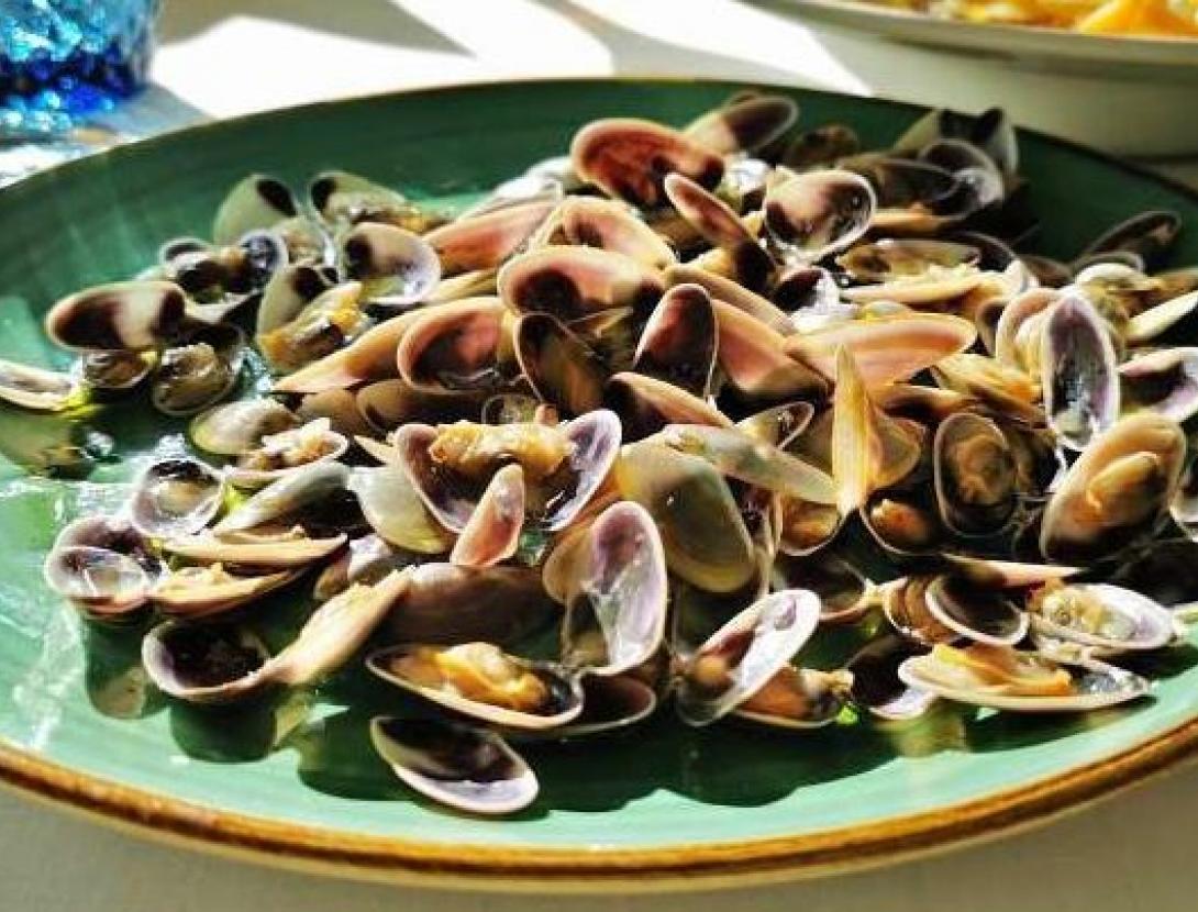 Tropical Hotel Restaurant Beach Club Tropical Hotel Restaurant Beach Club