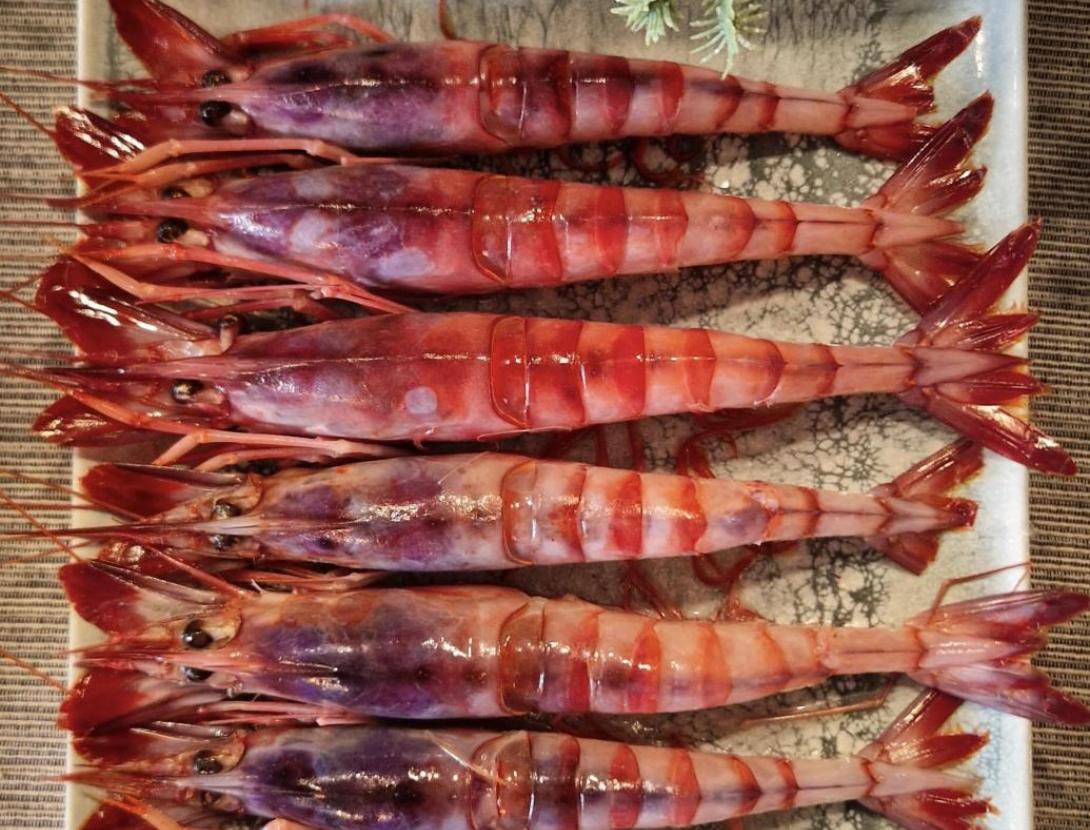 El Forn Restaurant El Forn Restaurant